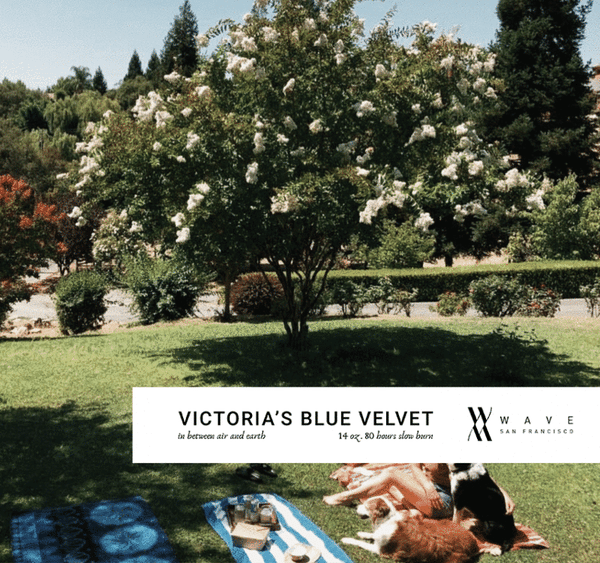 Victoria's Blue Velvet